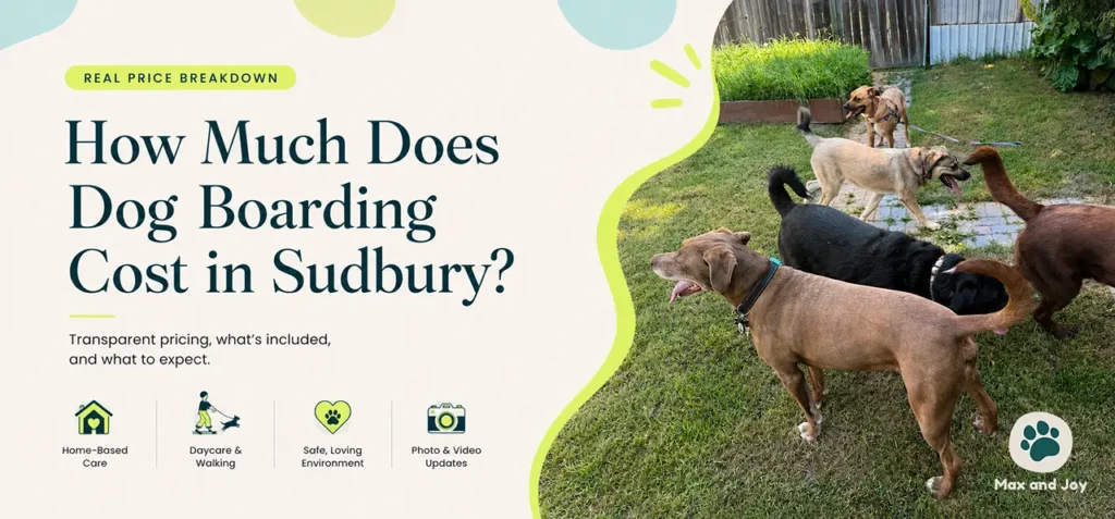 How Much Does Dog Boarding Cost in Sudbury? A Real Price Breakdown